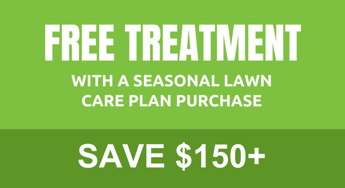 Promo Free Treatment